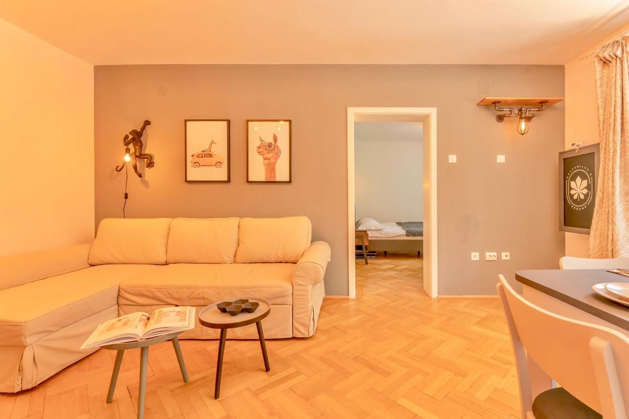 Castanilor 6 - Hip Industrial Apartment Close To City Centre Braşov Exterior foto